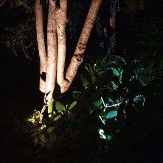 Spot Solaire Double ABS  ZS-SP216 Lumens